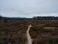 IMG_20240106_122240177_HDR