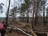 IMG_20240106_122141842_HDR