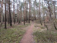 IMG_20240106_122103281