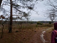 IMG_20240106_110559938_HDR