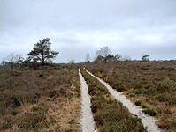 IMG_20240106_110243839_HDR