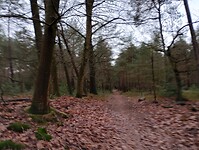 IMG_20240106_103450427_HDR
