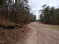 IMG_20240106_101739763_HDR