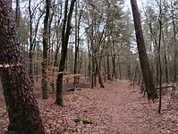 IMG_20240106_100902485_HDR