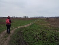 IMG_20240113_140801640