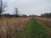 IMG_20240113_140530671