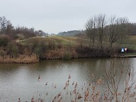 IMG_20240113_135354398