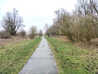 IMG_20240113_131746719