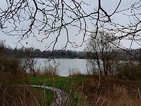 IMG_20240113_131129029_HDR