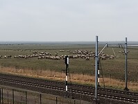 IMG_20240113_113612238