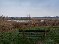 IMG_20240113_111818715_HDR