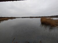 IMG_20240113_103142121