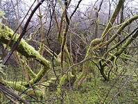 IMG_20240113_102631950