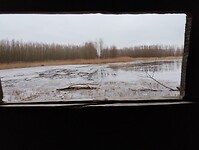 IMG_20240113_102144210
