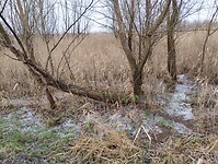 IMG_20240113_101537491