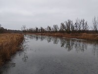 IMG_20240113_100409312