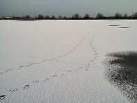 IMG_20240120_092529154