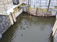 IMG_20240120_101843090
