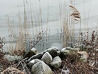 IMG_20240120_104515399