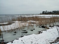 IMG_20240120_105124897