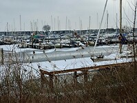 IMG_20240120_110526486_HDR