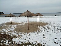 IMG_20240120_111404233