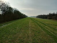 IMG_20240120_120625536_HDR