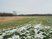 IMG_20240120_122014070