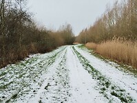 IMG_20240120_122347998