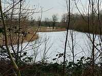 IMG_20240120_123227138_HDR