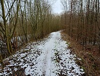IMG_20240120_123406559_HDR