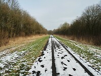 IMG_20240120_124946508