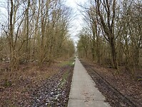 IMG_20240120_125459147