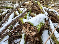IMG_20240120_130513739_HDR