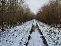 IMG_20240120_130655126