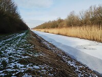 IMG_20240120_134156317