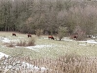 IMG_20240121_105138542