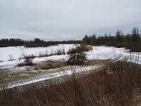 IMG_20240121_105025632
