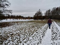 IMG_20240121_104633623_HDR