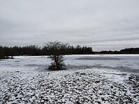IMG_20240121_104245390
