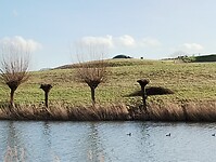 IMG_20240127_133223216