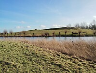 IMG_20240127_133131468
