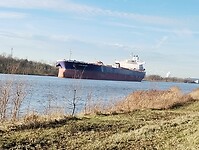 IMG_20240128_142709209