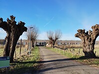 IMG_20240128_133330199