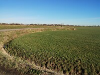 IMG_20240128_131749318