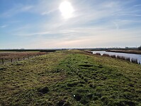 IMG_20240128_131123952