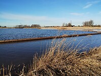 IMG_20240128_105208559