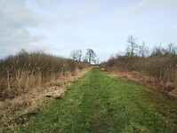 IMG_20240204_105936457
