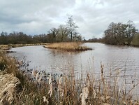IMG_20240204_120127847