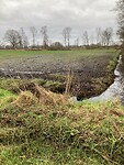 IMG_2408